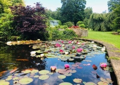 Peace and Tranquility at Warren Forest Park