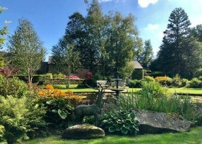 The View of the Stag