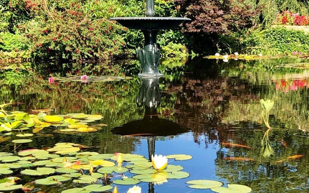 The Fountain at Warren Forest Park