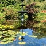 The Fountain at Warren Forest Park