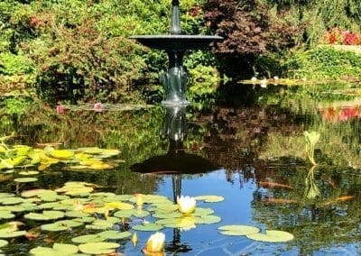 The Fountain at Warren Forest Park