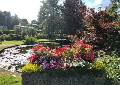 Calm Waters at Warren Forest Park