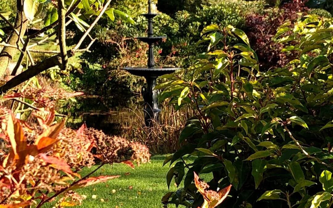 Reflecting on the Beautiful Autumn Coming Soon