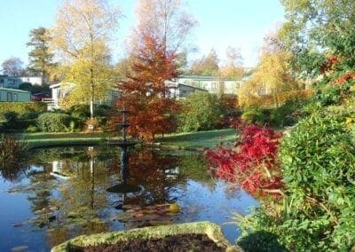 autumn pond at Warren Forest Park