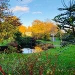 Warren Forest - Autumn