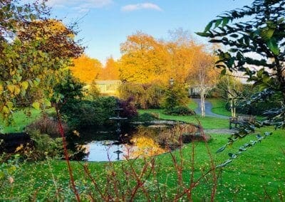 Warren Forest - Autumn