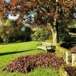 autumn at Warren Forest Park