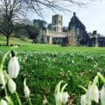 Snow drops fountains