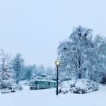 Lamp post snow at Warren Forest Park