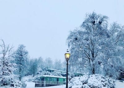 Lamp post snow at Warren Forest Park