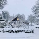 Snow at Warren Forest Park Lampost
