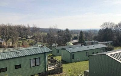 Basking In the Sunshine