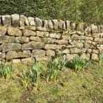 Warren Forest Park Spring