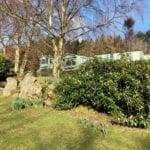 Warren Forest Park Spring