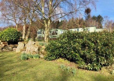 Warren Forest Park Spring