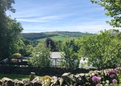 Forest Park Green Scene