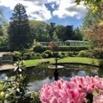 Warren Forest Park Putting Pond