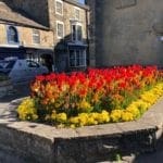 Bright orange and yellow flowers