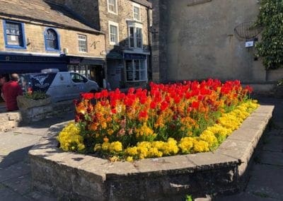 Bright orange and yellow flowers