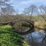 The river and bridge