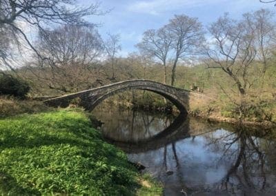 The river and bridge