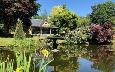 Ready to Welcome you Back