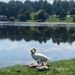 Tranquility of Fountains Abbey