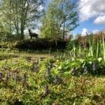 Warren Forest - Start of Summer