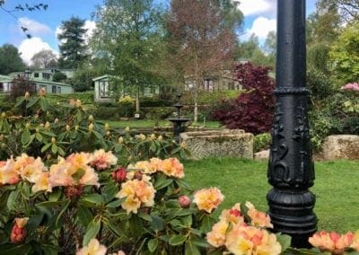 Warren Forest - Start of Summer