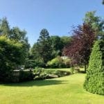 Looking forward to Greenery