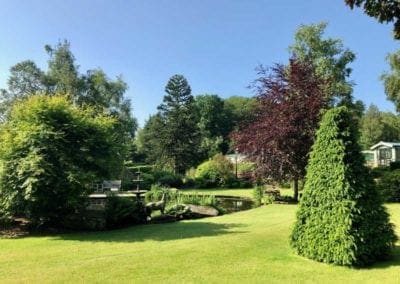 Looking forward to Greenery