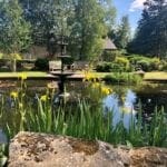 Warren Forest - Pond