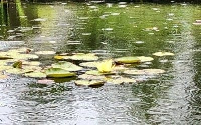 “There’s no such thing as bad weather…..