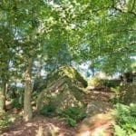 a little bit of sun shine