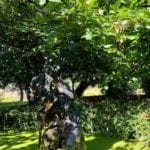 Where the Wild Things Grow