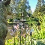 Where the Wild Things Grow