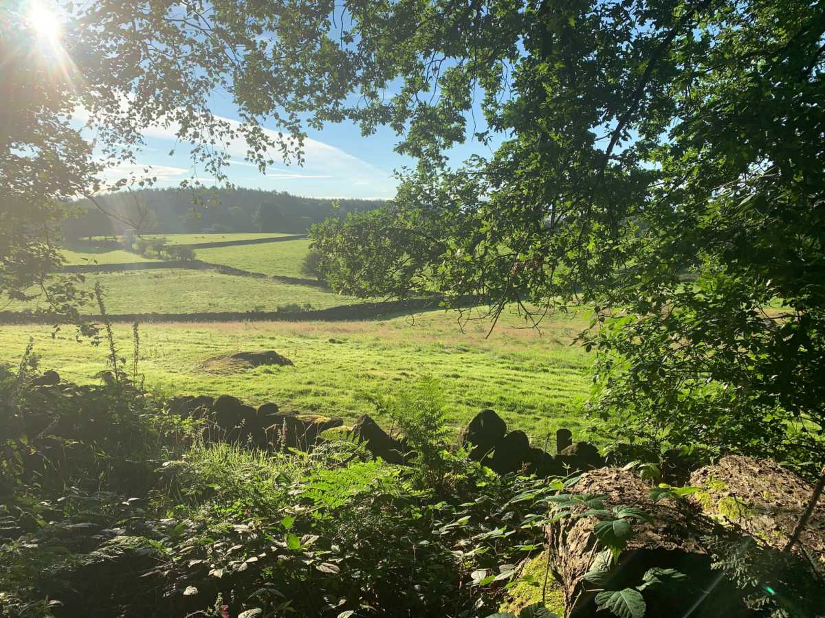 Make Hay While The Sun Shines