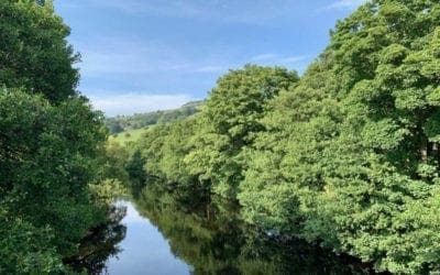 Little Local Beauty Spots