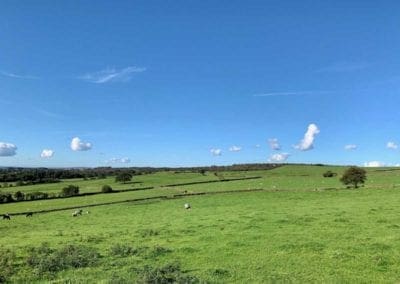 Forest Park Garden Side