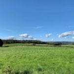 Fields of green