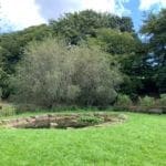 The Millennium Pond