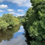 Lake and Trees