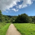 Isle in the greens