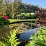 autumn pond at Warren Forest Park