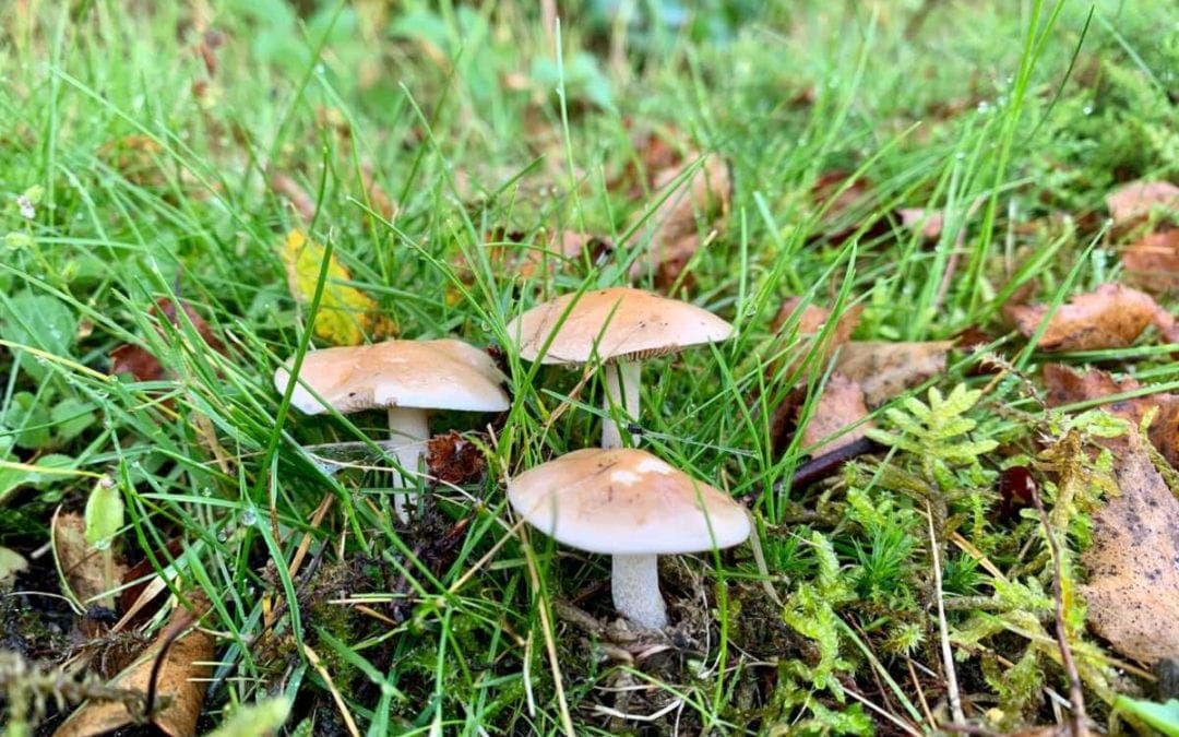 The Turning of the Seasons