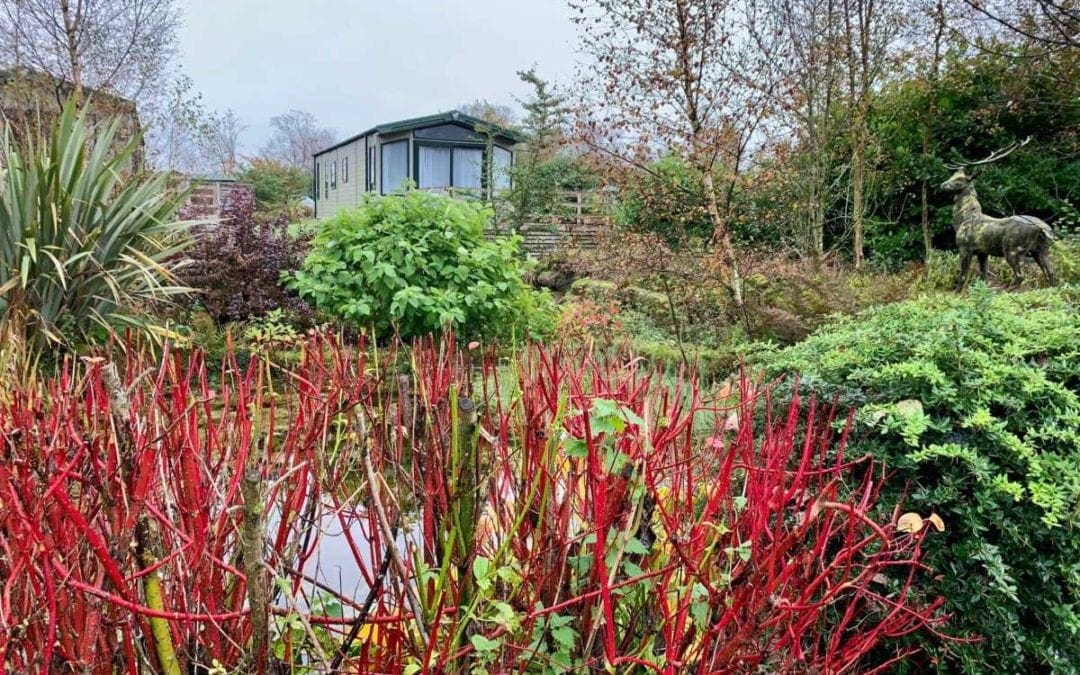 Nidderdale Come Rain or Shine