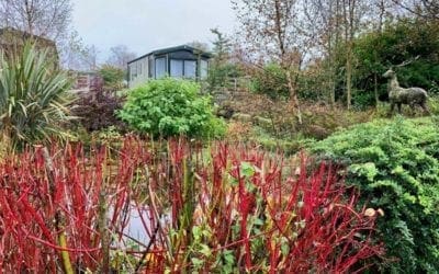 Nidderdale Come Rain or Shine