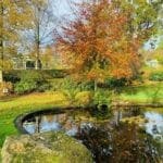 autumn pond at Warren Forest Park