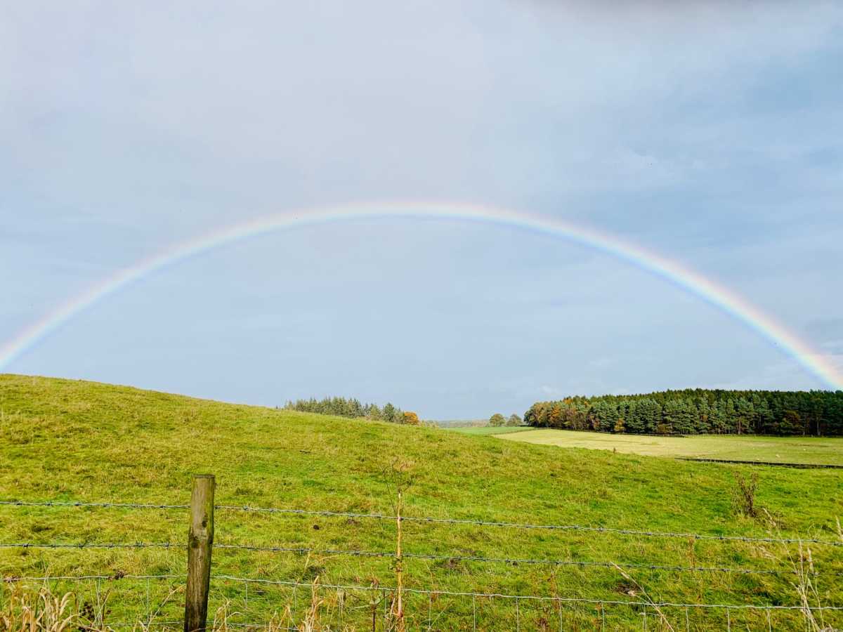 Autumn Rainbow