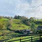 Forest Park Autumn View